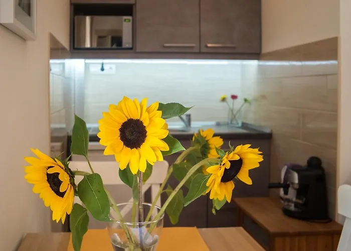 Apartamento Friendly In The Center *