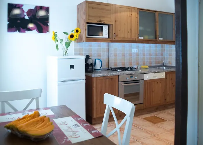 Friendly In The Center Apartamento