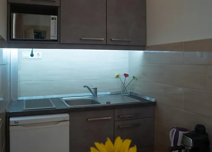Apartament Friendly In The Center